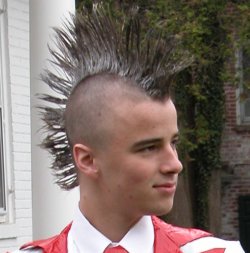 The Mohawk